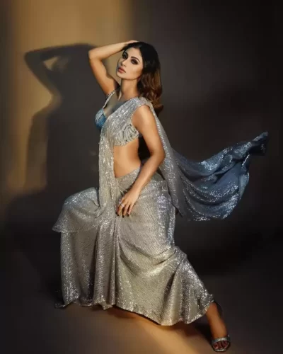 Embroidered Bollywood Georgette Saree side view