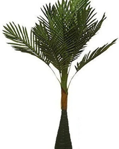 KAYKON Big Artificial Palm Tree Natural Looking Plant for Home Decor Office Decor - 40 inch Artificial Plant (100 cm, Green)