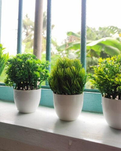 Ryme Small Size Pack Of 4 Bonsai Wild Artificial Plant with Pot (11 cm, Green)