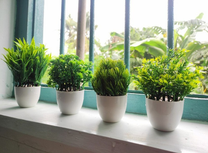 Ryme Small Size Pack Of 4 Bonsai Wild Artificial Plant with Pot (11 cm, Green)