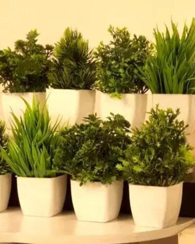 blue penguin Set Of 8 Mini/Small Artificial Plants Bonsai Wild Artificial Plant with Pot (15 cm, Green)