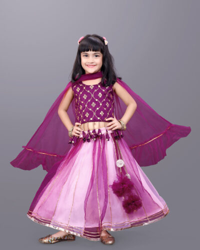 Baby Girls Lehenga Choli Party Wear Solid, Embellished Lehenga, Choli and Dupatta Set (Pink, Pack of 1)