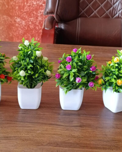 Naturaly Bonsoi for home decoration,office decor, cafe, (4) Bonsai Wild Artificial Plant with Pot (20 cm, Multicolor)