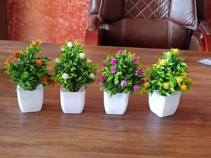 Naturaly Bonsoi for home decoration,office decor, cafe, (4) Bonsai Wild Artificial Plant with Pot (20 cm, Multicolor)