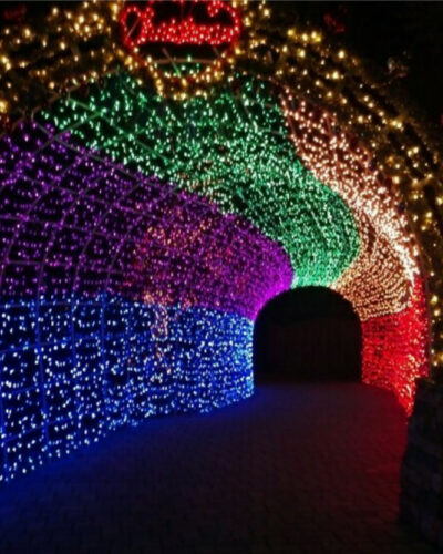 Business Squad 200 LEDs 7 m Multicolor Steady String Rice Lights (Pack of 10)
