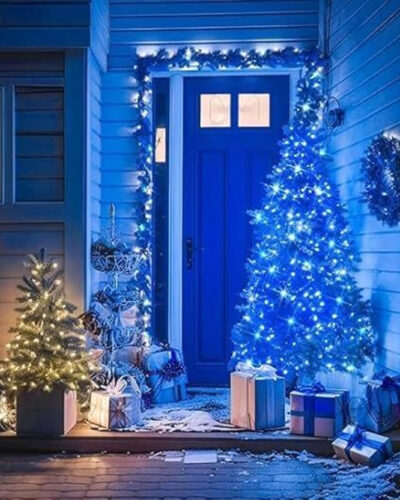 KINIS 200 LEDs 40 m Blue Steady String Rice Lights (Pack of 1)