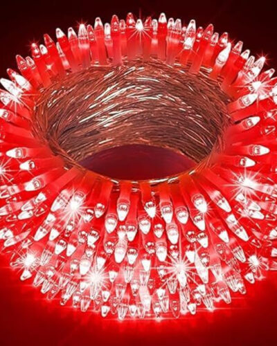 KINIS 150 LEDs 30 m Red Steady String Rice Lights (Pack of 1)