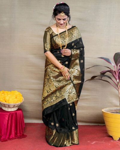 Self Design, Woven Banarasi Silk Blend Saree (Pack of 2, Black, Gold)