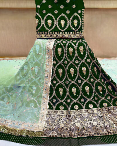 Embroidered Semi Stitched Rajasthani Poshak (Green, Light Green)