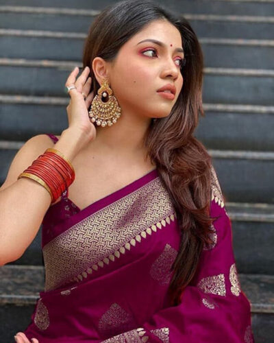 Embellished Bollywood Raw Silk Saree (Purple)