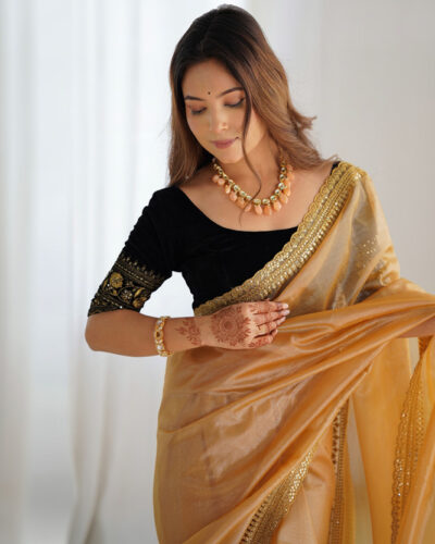 Embellished, Embroidered Bollywood Jimmy choo, Net Saree (Brown)