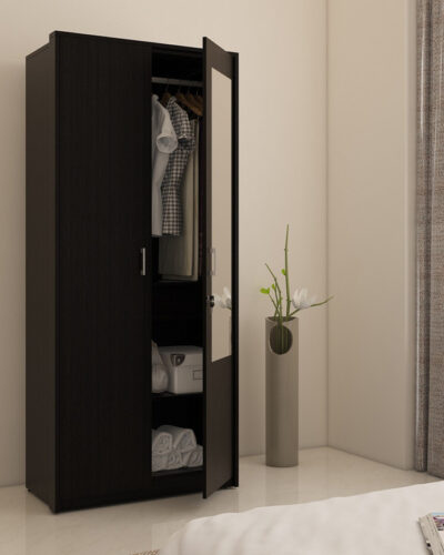 SPACEWOOD Engineered Wood 2 Door Wardrobe (Finish Color - NATURAL WENGE, Mirror Included, Knock Down)
