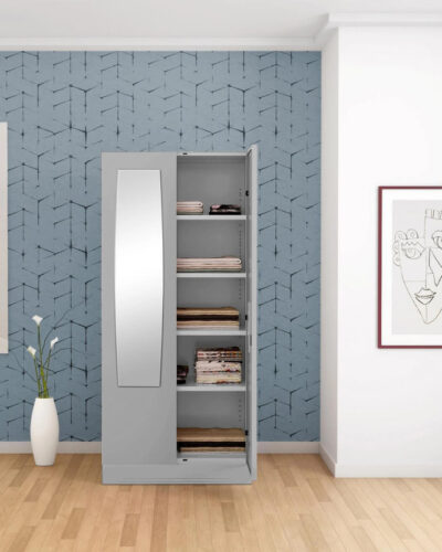 Godrej Interio Slimline 2 Door with 4 shelves and Mirror Metal Almirah (Finish Color - Body & Door: Royal Ivory, Knock Down)